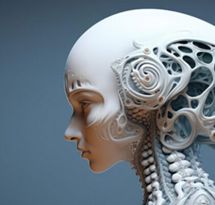 1173. Die perfide Falle