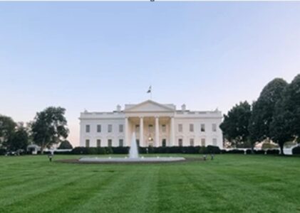 1226. A lonely little white house