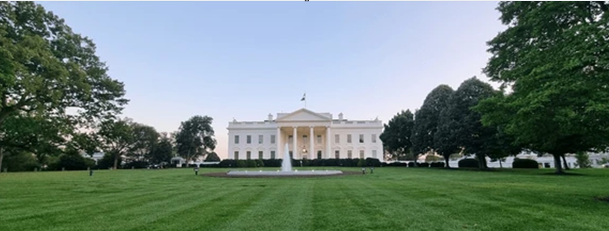 1226. A lonely little white house