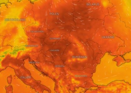 1293. Ein heißer Sommer – das ist doch eine Katastrophe!