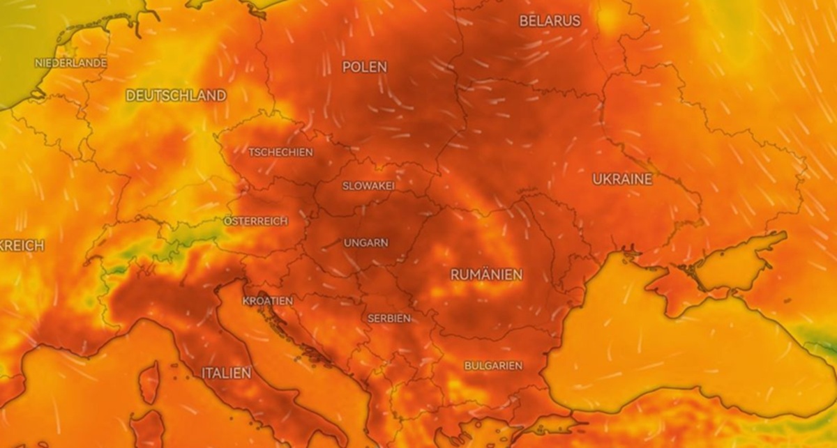 1293. Ein heißer Sommer – das ist doch eine Katastrophe!